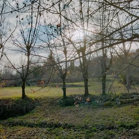 Confort, Fun And Leisure In Douro Rural Space