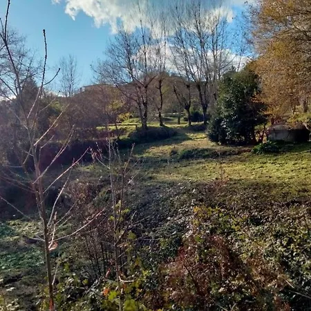 Confort, Fun And Leisure In Douro Rural Space