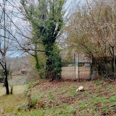 Confort, Fun And Leisure In Douro Rural Space בית נופש