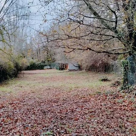 Confort, Fun And Leisure In Douro Rural Space Sande (Porto)