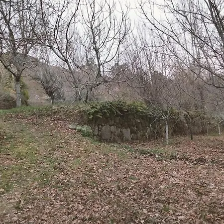 בית נופש Confort, Fun And Leisure In Douro Rural Space Sande (Porto)