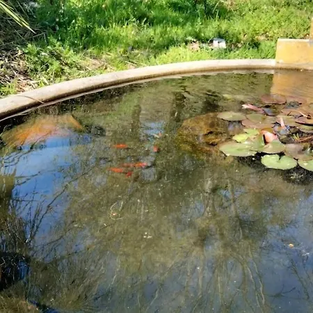 Confort, Fun And Leisure In Douro Rural Space *