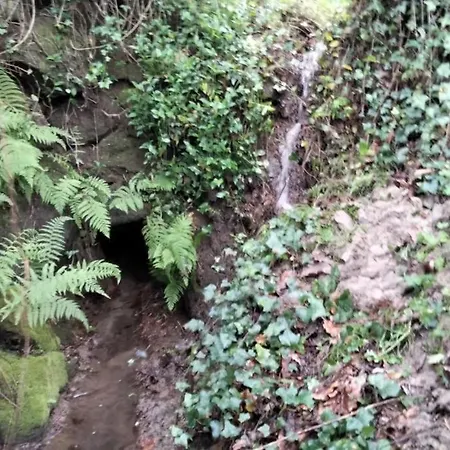 Confort, Fun And Leisure In Douro Rural Space *