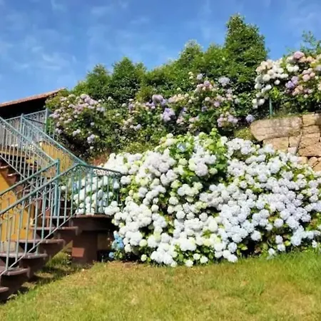 Vakantiehuis Confort, Fun And Leisure In Douro Rural Space