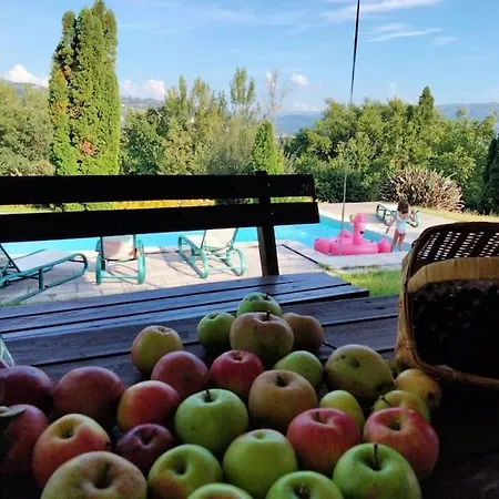 Confort, Fun And Leisure In Douro Rural Space