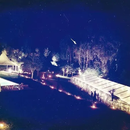 Confort, Fun And Leisure In Douro Rural Space * Sande (Porto)