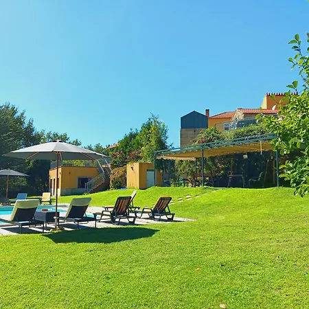 Confort, Fun And Leisure In Douro Rural Space Vakantiehuis