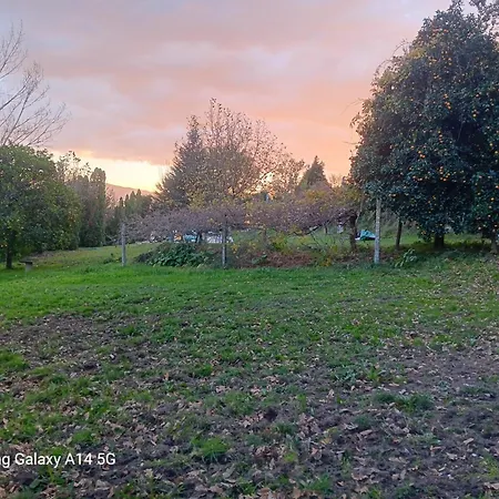 Confort, Fun And Leisure In Douro Rural Space Сasa de vacaciones Sande (Porto)