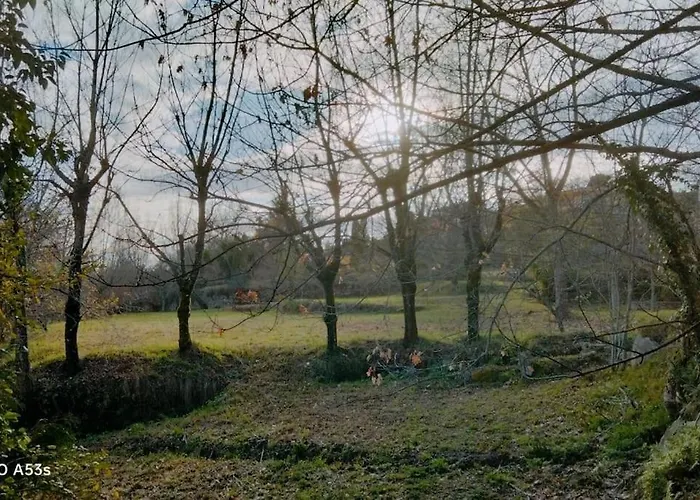 Confort, Fun And Leisure In Douro Rural Space