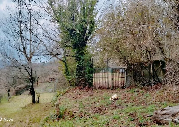 Confort, Fun And Leisure In Douro Rural Space 別荘