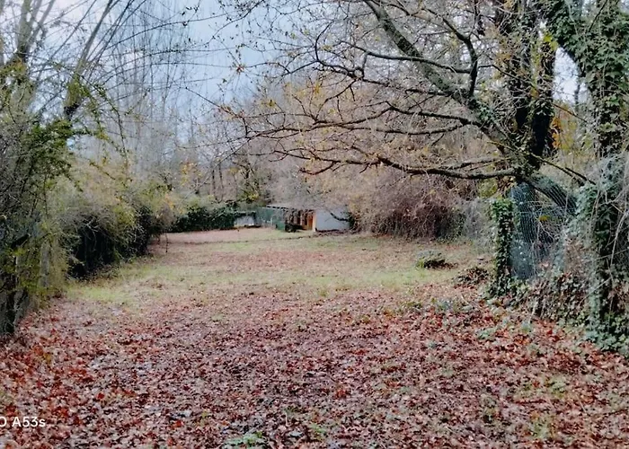 Confort, Fun And Leisure In Douro Rural Space Sande (Porto)