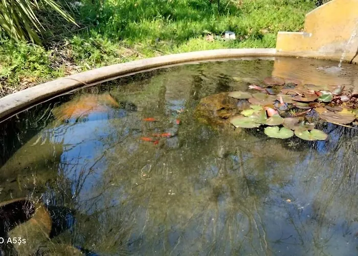 Confort, Fun And Leisure In Douro Rural Space *