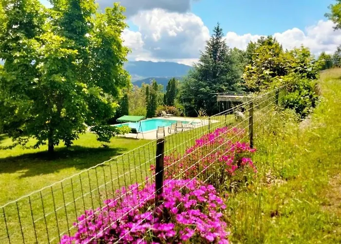 Confort, Fun And Leisure In Douro Rural Space *