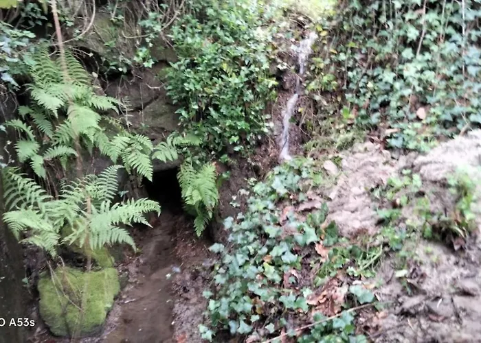 Confort, Fun And Leisure In Douro Rural Space *