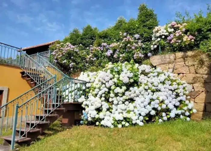 別荘 Confort, Fun And Leisure In Douro Rural Space