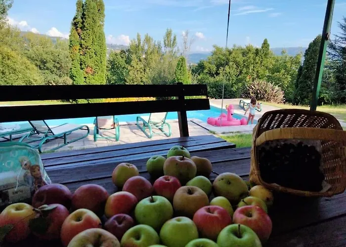 Confort, Fun And Leisure In Douro Rural Space