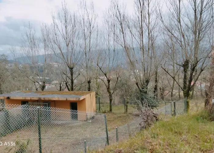 Confort, Fun And Leisure In Douro Rural Space 別荘 Sande