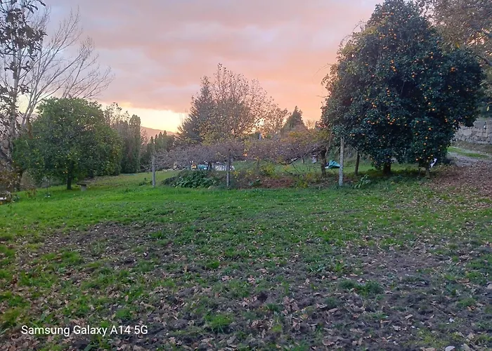 Confort, Fun And Leisure In Douro Rural Space 別荘 Sande